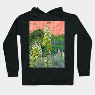 Garden of the Gods Flora Study 2 Hoodie